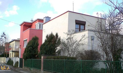 Budapest-Napraforgo-u-CIMG1791