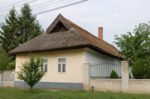 Picture1_topaz