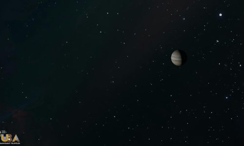 pexels-zelch-12498784