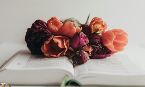 sixteen-miles-out-cwNYLC6SjIY-unsplash